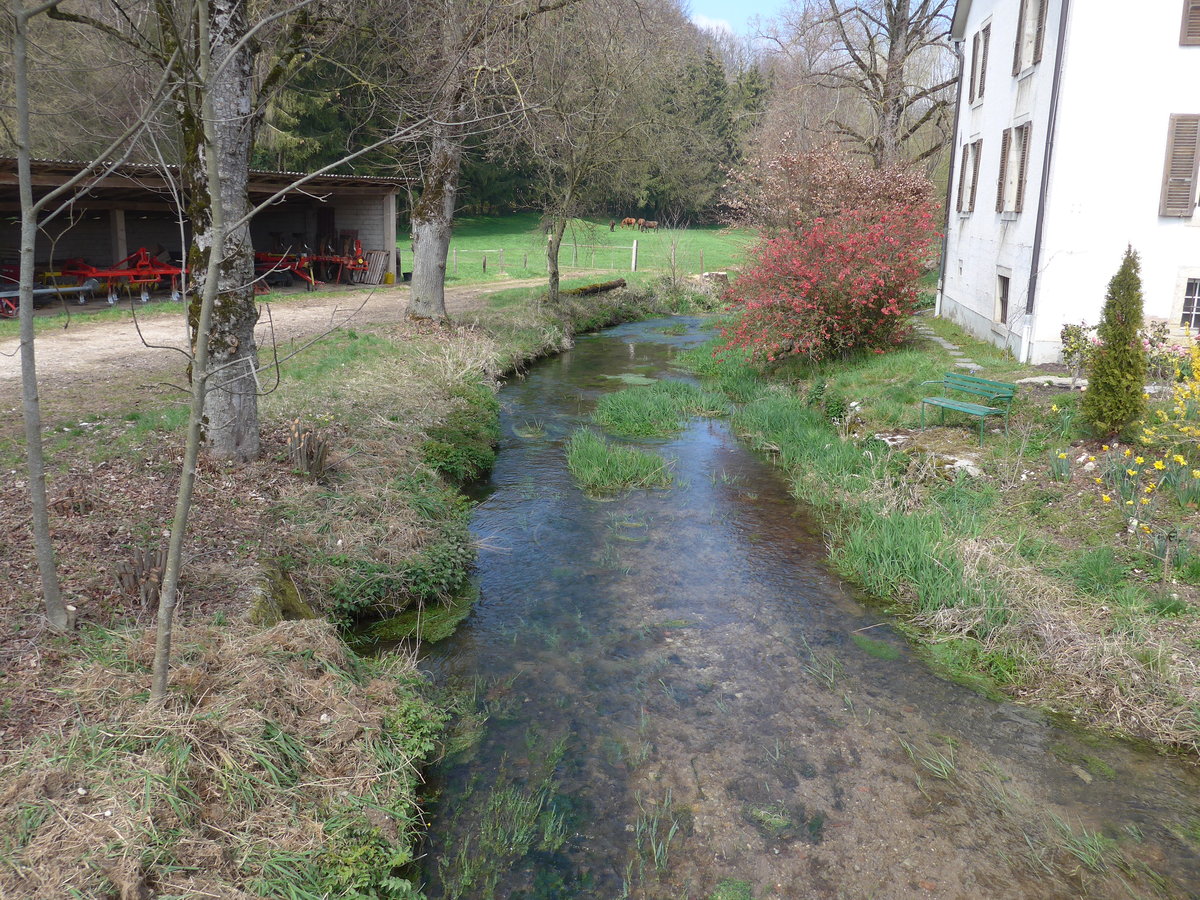 (203'718) - Die Vendline am 15. April 2019 in Beurnevsin