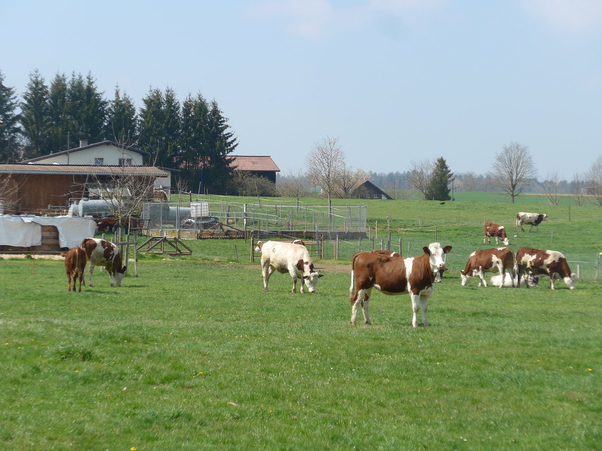 (203'753) - Klber am 15. April 2019 in Vendlincourt