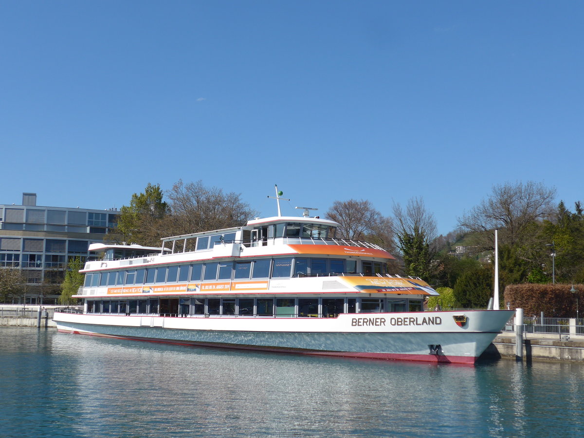 (203'845) - Motorschiff Berner Oberland am 20. April 2019 an der Schifflndte Thun