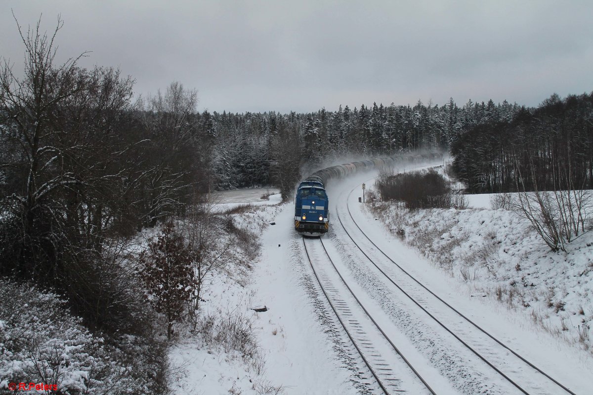 204 031 und 204 005 mit dem Hauer Kesselzug nach Weiden bei Oberteich. 09.01.21