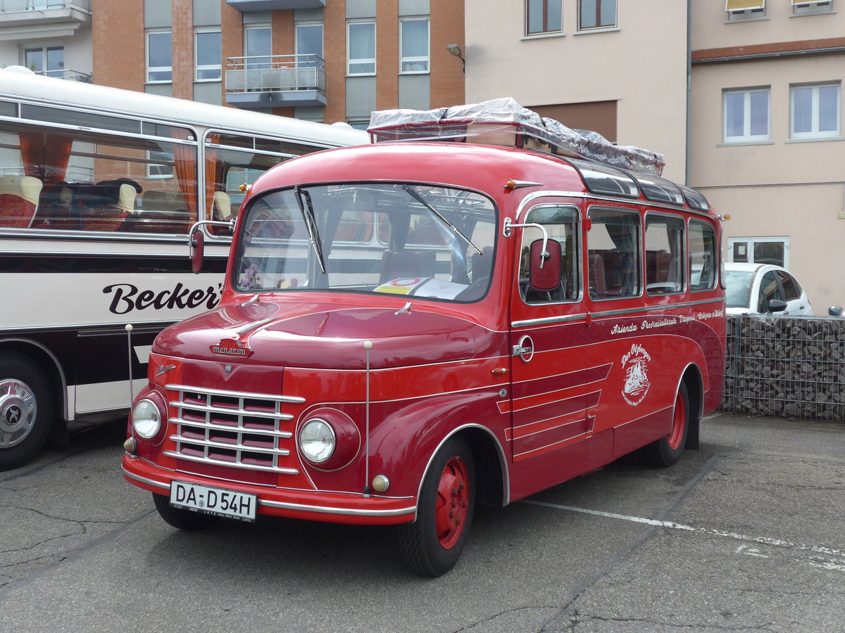 (204'017) - Aus Deutschland: Lutz, Otzberg - DA-D 54H - Fiat/Menarini am 26. April 2019 in Haguenau, Parkplatz