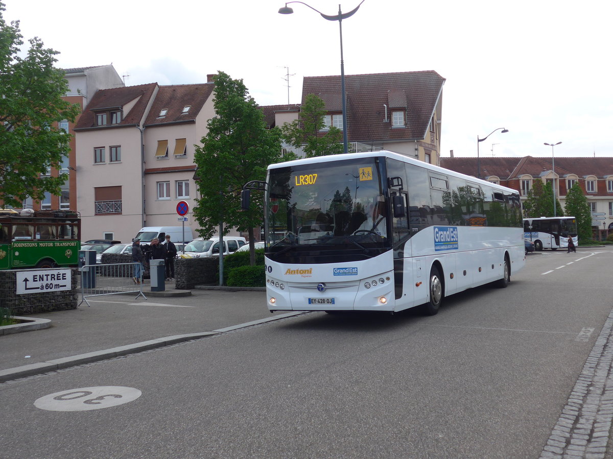 (204'100) - Antoni, Haguenau - EY 428 QJ - Temsa am 26. April 2019 in Haguenau, Parkplatz