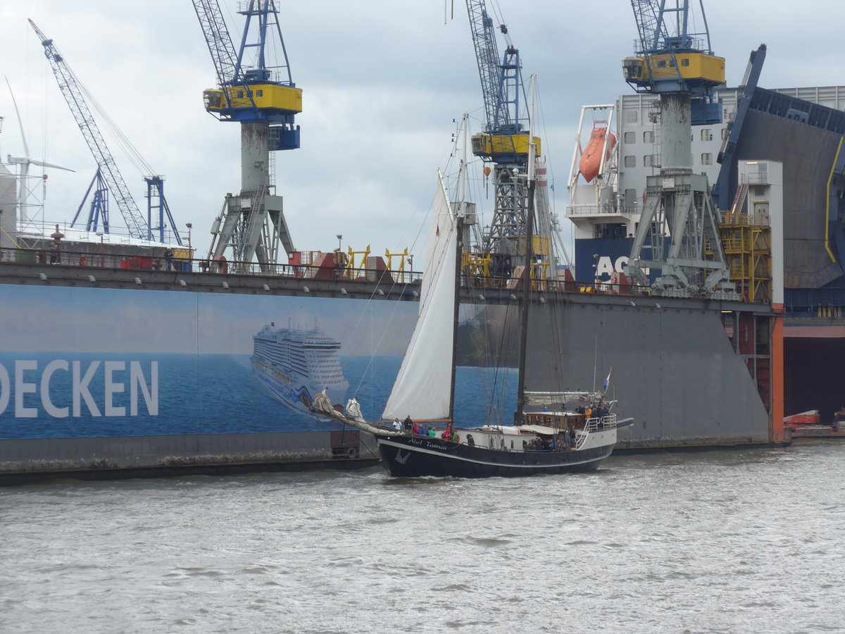 (204'747) - 830. Hafengeburtstag mit Schiffsparade am 10. Mai 2019 auf der Elbe in Hamburg