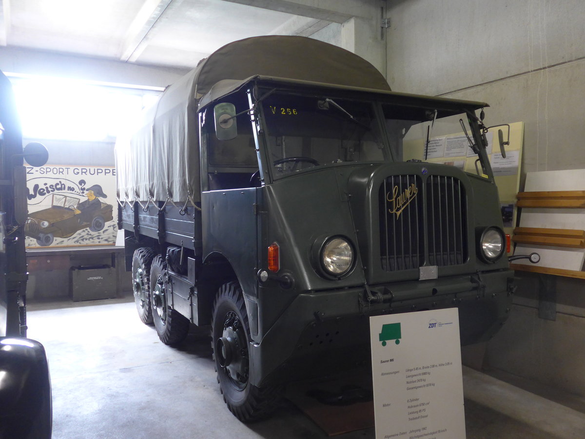 (205'252) - Saurer am 18. Mai 2019 in Neuheim, ZDT