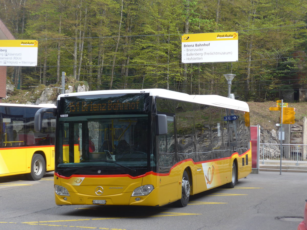 (205'282) - Flck, Brienz - Nr. 5/BE 113'349 - Mercedes am 18. Mai 2019 auf dem Brnigpass