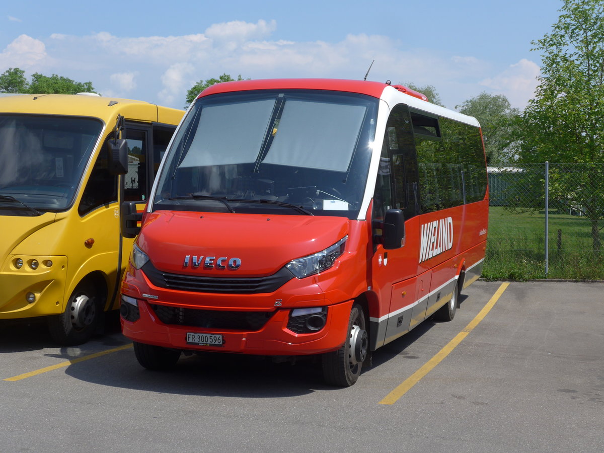 (205'388) - Wieland, Murten - Nr. 96/FR 300'596 - Iveco/Rosero am 25. Mai 2019 in Murten, Garage