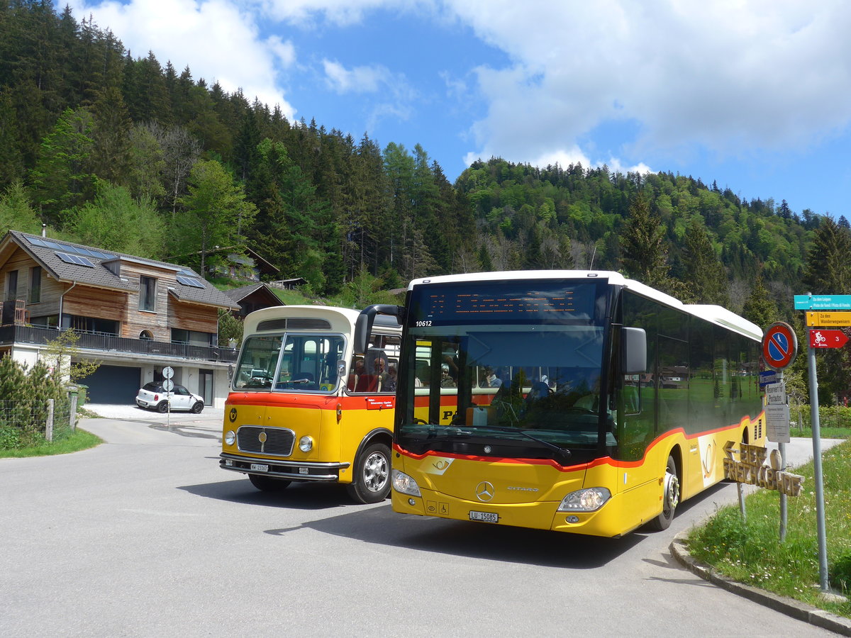 (205'657) - Bucheli, Kriens - Nr. 29/LU 15'085 - Mercedes am 30. Mai 2019 in Eigenthal, Talboden