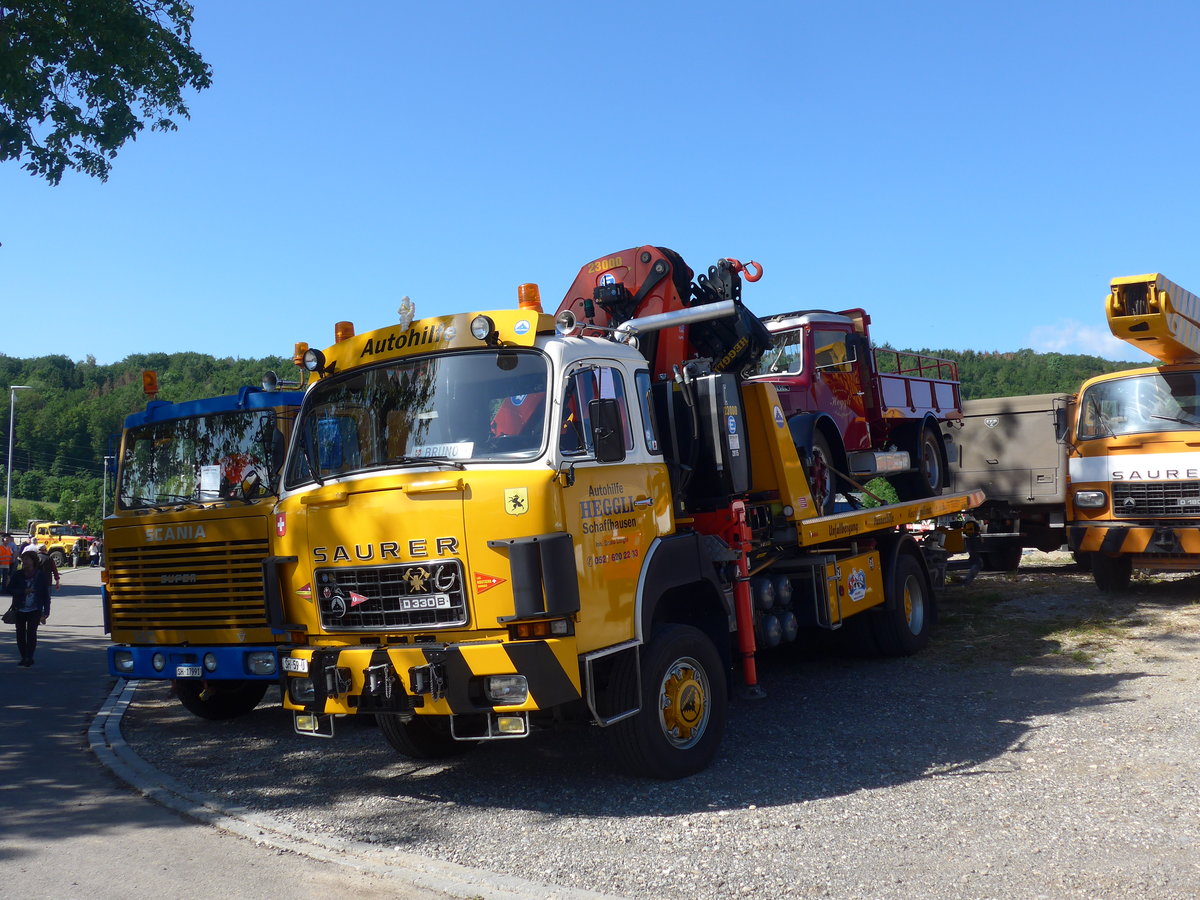 (205'806) - Heggli, Schaffhausen - SH 59 H - Saurer am 8. Juni 2019 in Thayngen, Saurertreffen
