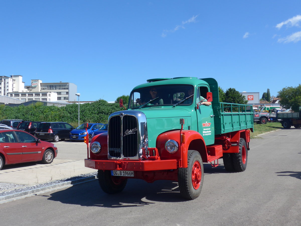 (205'856) - Wildt, Ettenheim - OG-B 1966H - Berna am 8. Juni 2019 in Thayngen, Saurertreffen