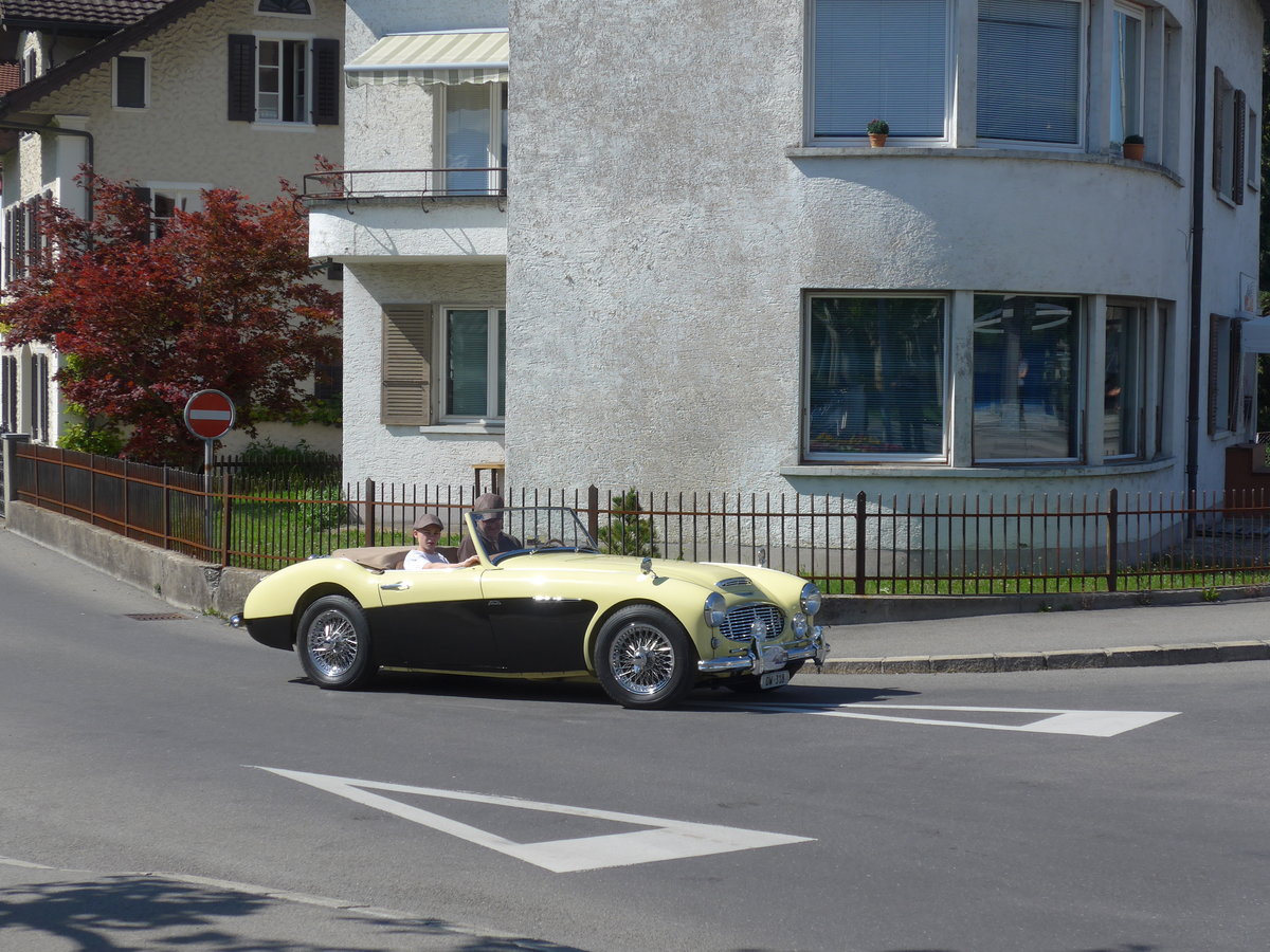 (206'125) - Austin - OW 318 - am 8. Juni 2019 in Sarnen, OiO