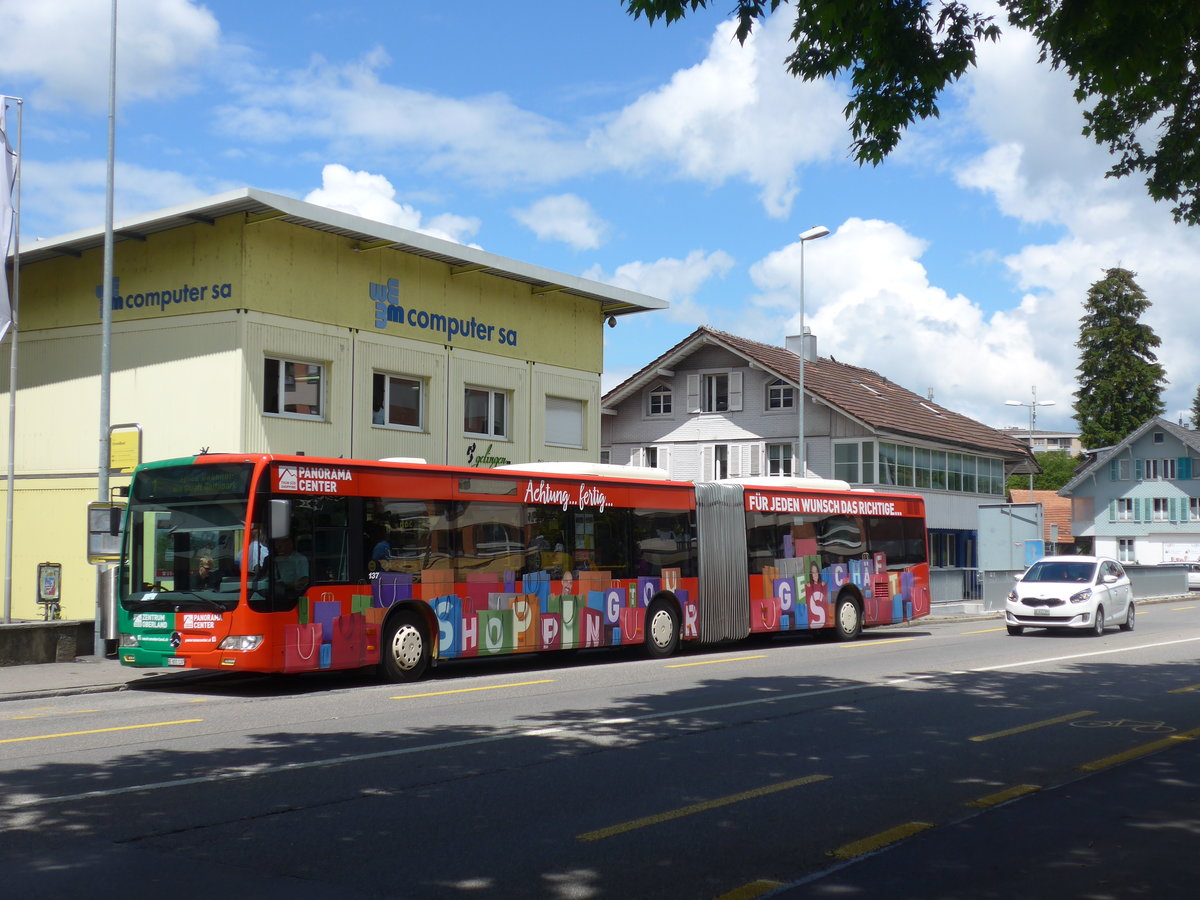 (206'446) - STI Thun - Nr. 137/BE 801'137 - Mercedes am 16. Juni 2019 in Thun, Strandbad