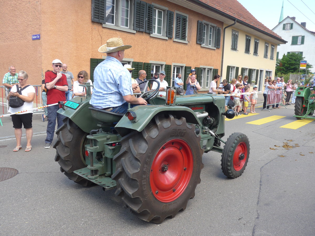 (206'719) - Hrlimann - ZH 8141 - am 23. Juni 2019 am Jodlerfest-Umzug in Winterthur