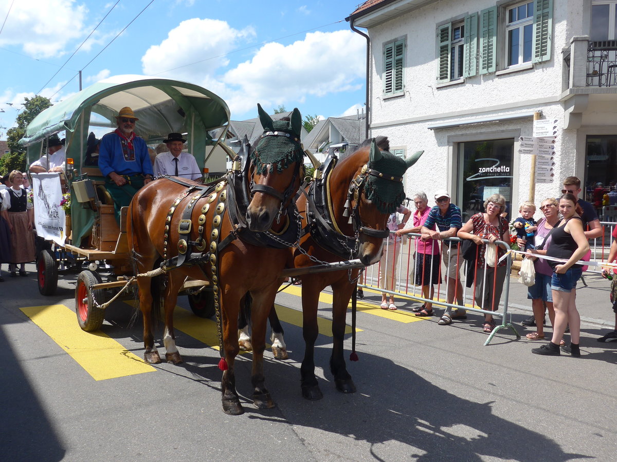 (206'736) - Zweispnner am 23. Juni 2019 am Jodlerfest-Umzug in Winterthur