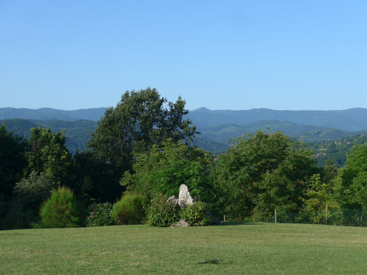 (206'980) - Strucher und Bume am 3. Juli 2019 bei Gabrovo