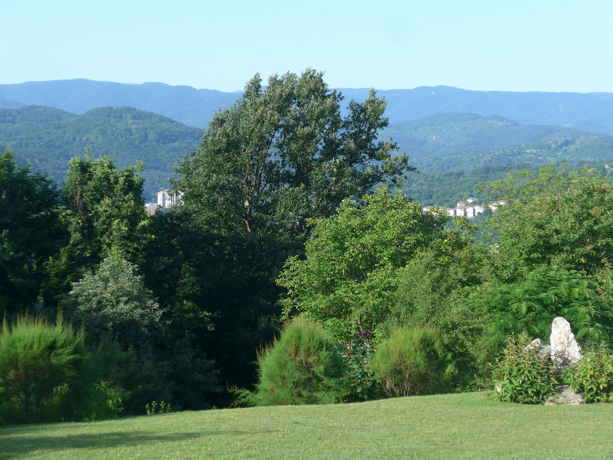 (206'981) - Strucher und Bume am 3. Juli 2019 bei Gabrovo