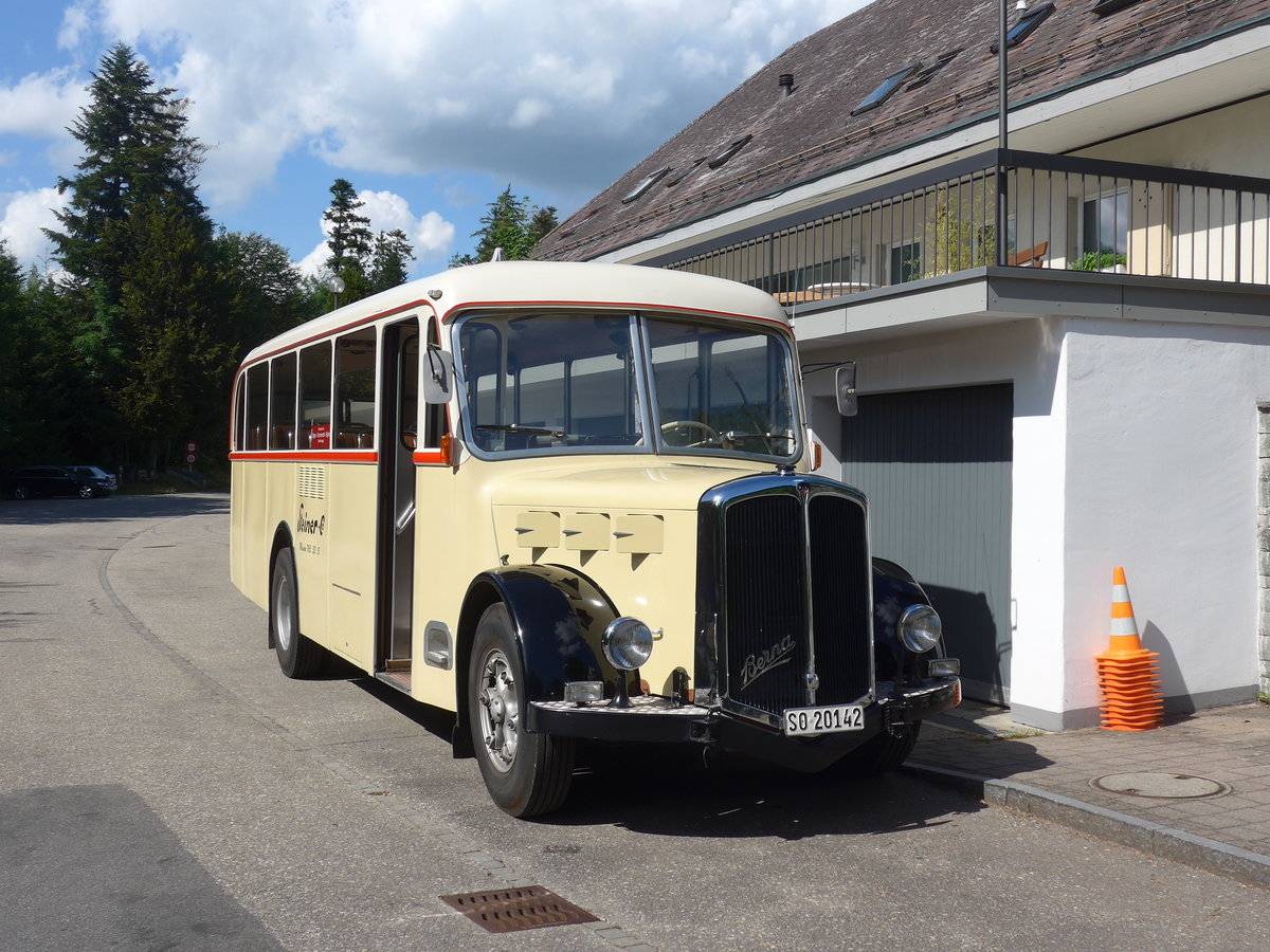 (207'540) - Steiner, Messen - SO 20'142 - Berna/Hess (ex Brtschi, Biberen) am 7. Juli 2019 in Emmenmatt, Moosegg