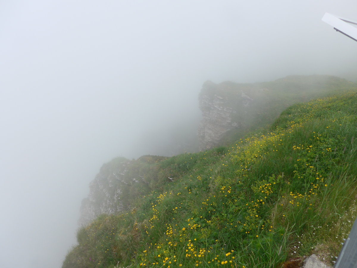 (207'727) - Nebelaussicht am 9. Juli 2019 vom Mnnlichen aus