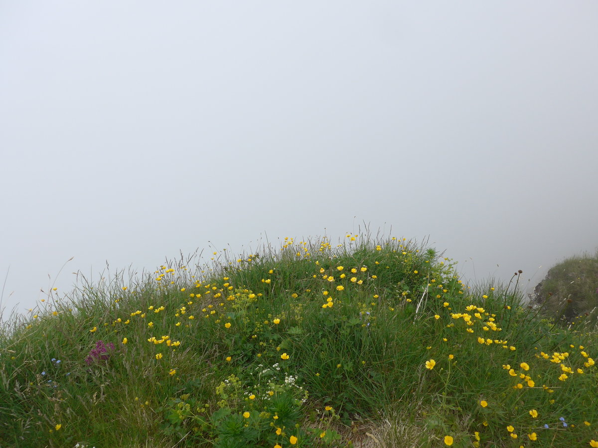 (207'728) - Nebelaussicht am 9. Juli 2019 vom Mnnlichen aus