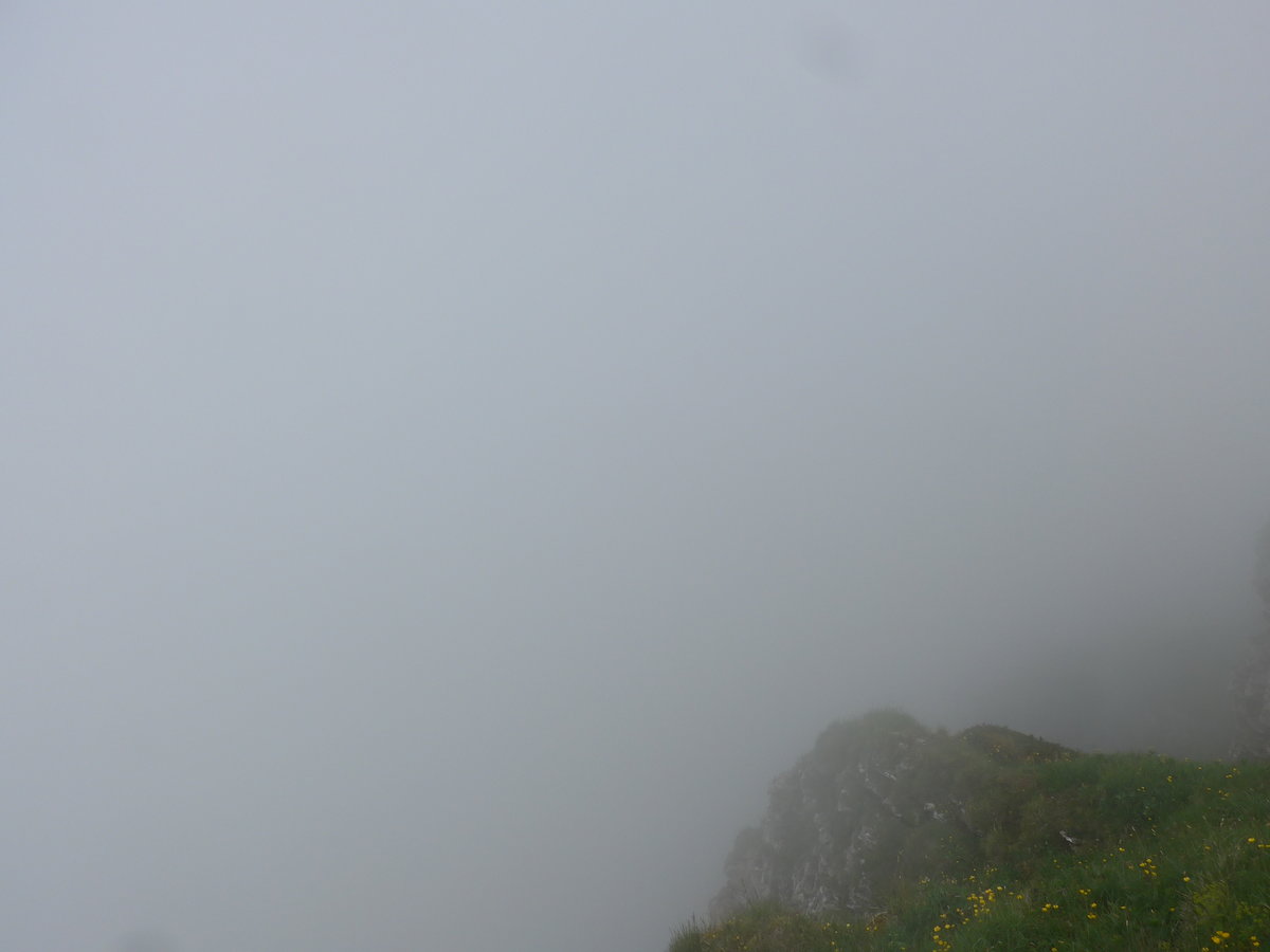 (207'729) - Nebelaussicht am 9. Juli 2019 vom Mnnlichen aus