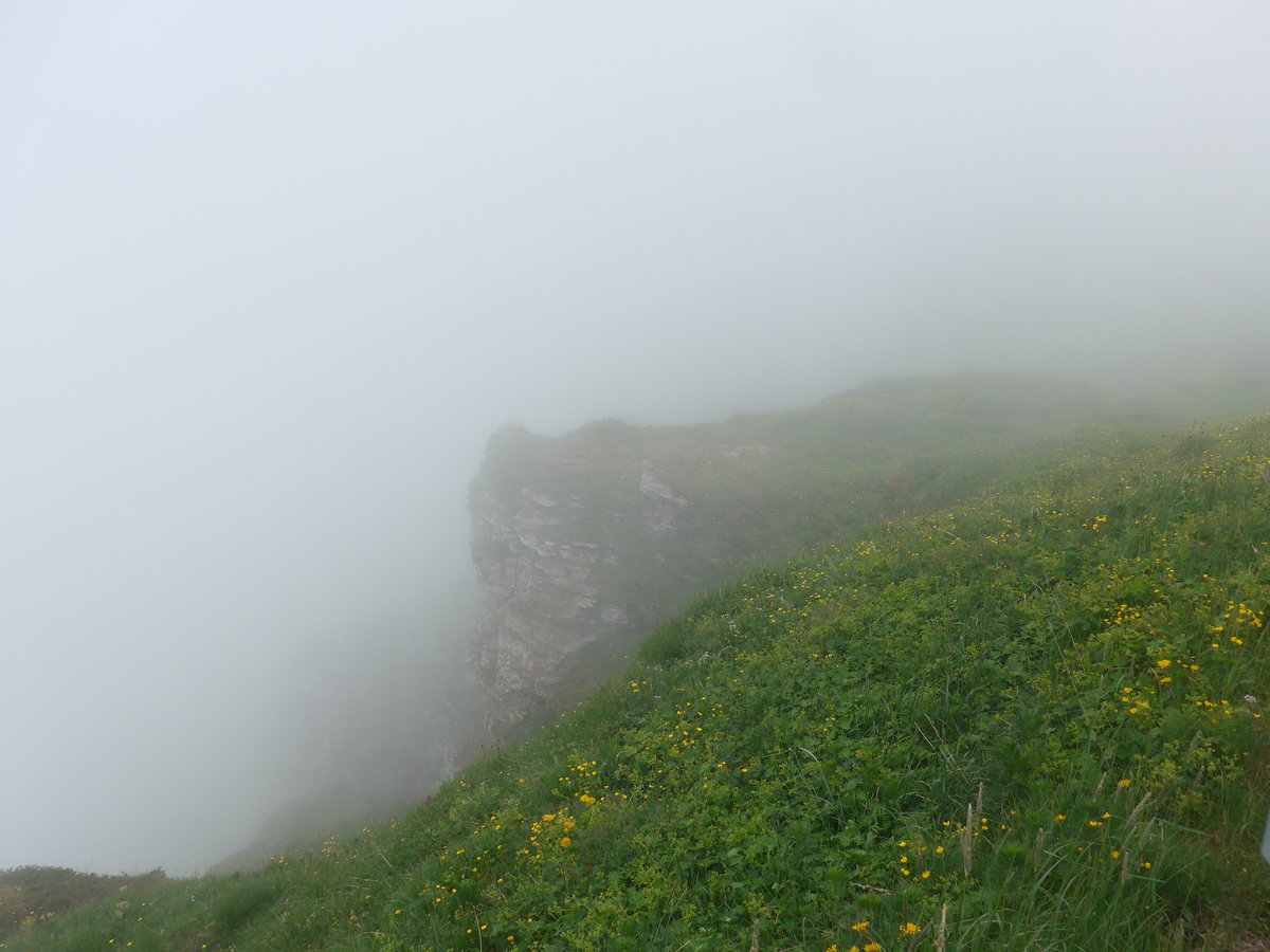 (207'730) - Nebelaussicht am 9. Juli 2019 vom Mnnlichen aus