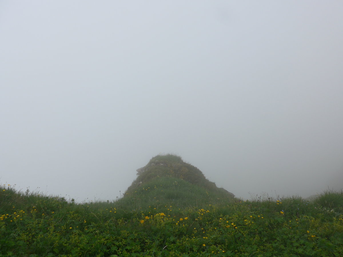 (207'731) - Nebelaussicht am 9. Juli 2019 vom Mnnlichen aus