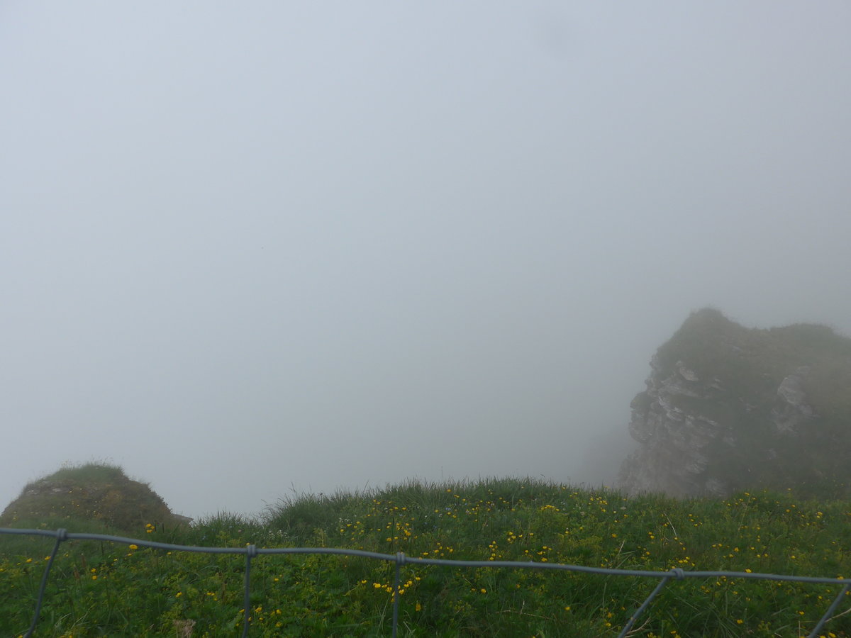 (207'732) - Nebelaussicht am 9. Juli 2019 vom Mnnlichen aus