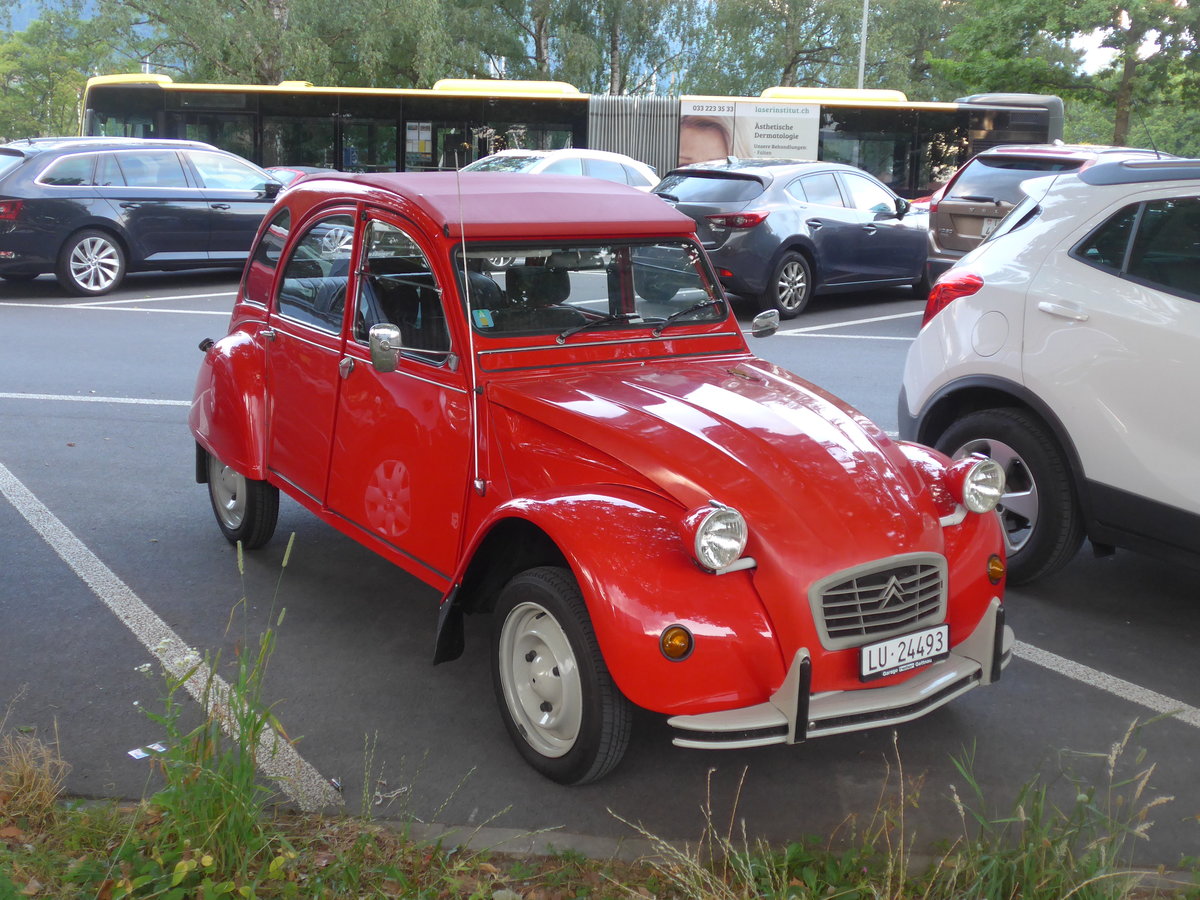 (207'908) - Citron - LU 24'493 - am 13. Juli 2019 in Thun, Lachen