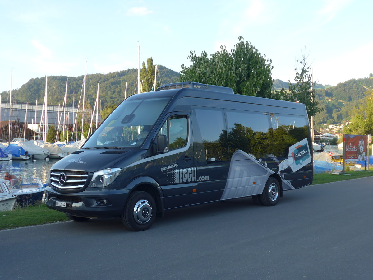 (208'577) - Heggli, Kriens - LU 12'544 - Mercedes am 8. August 2019 in Thun, Strandbad