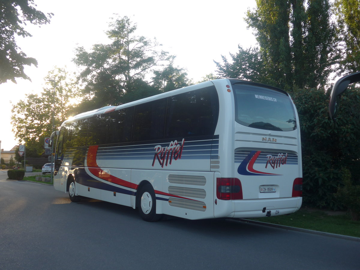 (208'749) - Ryffel, Volketswil - Nr. 18/ZH 8509 - MAN am 16. August 2019 in Thun, Strandbad