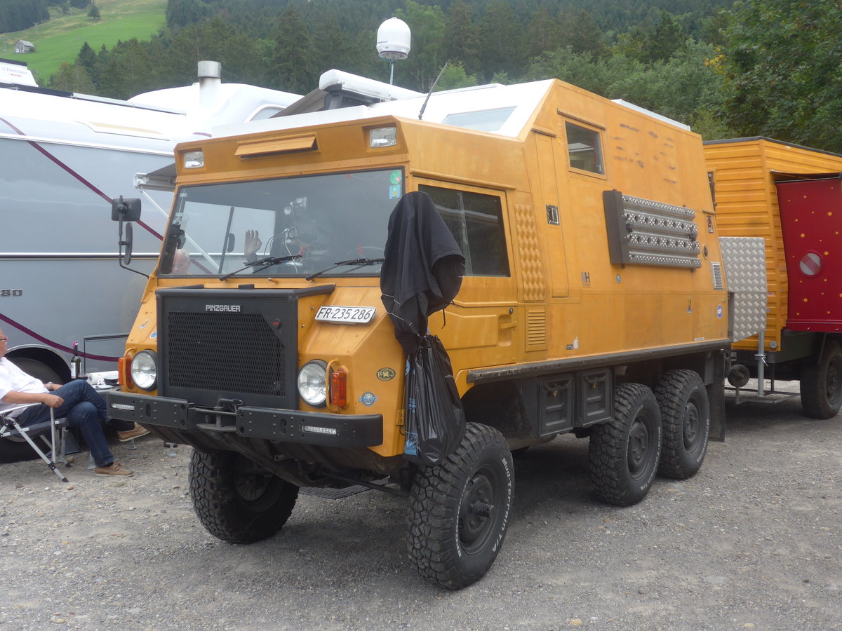 (208'877) - Pinzgauer - FR 235'286 - am 17. August 2019 in Atzmnnig, Schutt