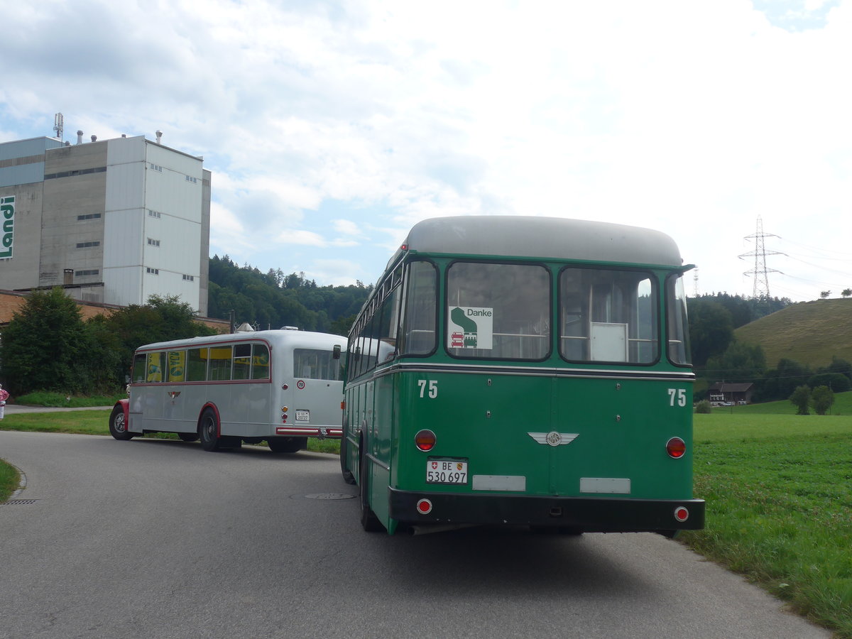 (209'251) - BVB Basel (RWB) - Nr. 75/BE 530'697 - FBW/FHS am 1. September 2019 in Wynigen, Landi