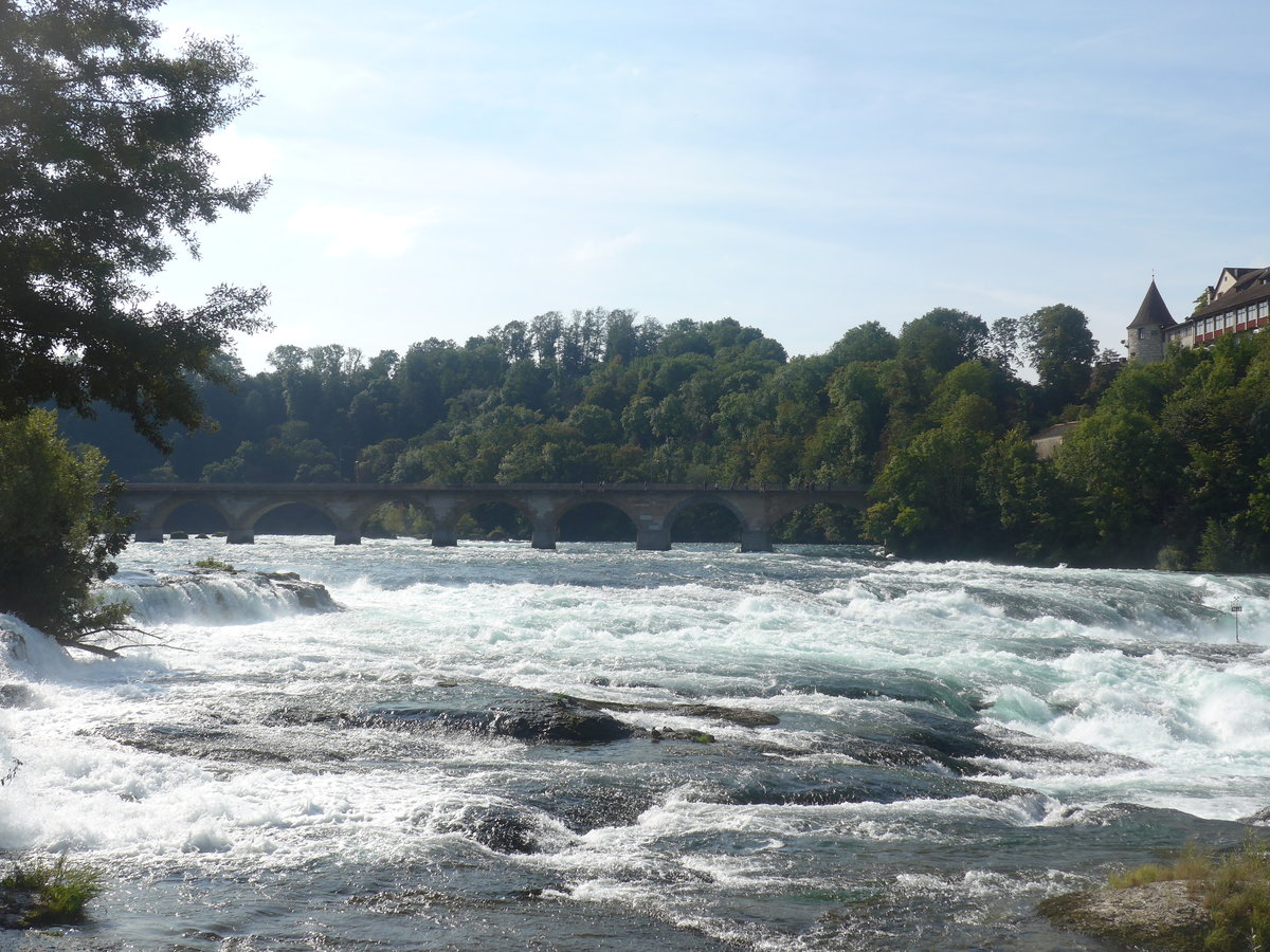 (209'559) - Der Rheinfall am 14. September 2019 bei Neuhausen