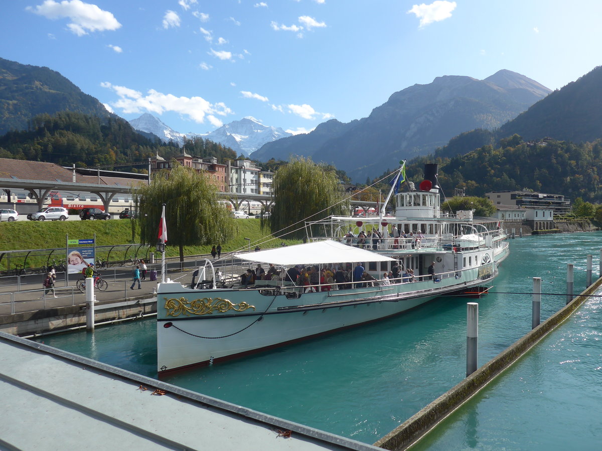 (210'299) - Dampfschiff Blmlisalp am 13. Oktober 2019 an der Schifflndte Interlaken West