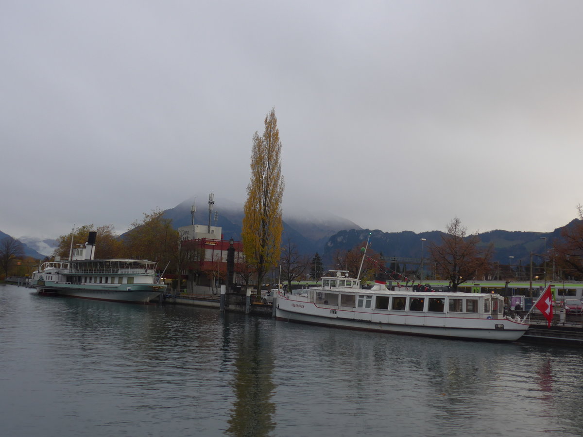 (210'750) - Dampfschiff Blmlisalp und Motorschiff Oberhofen am 3. November 2019 an der Schifflndte Thun