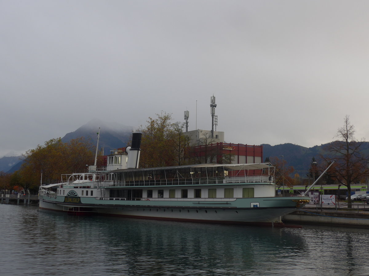 (210'752) - Dampfschiff Blmlisalp am 3. November 2019 an der Schifflndte Thun