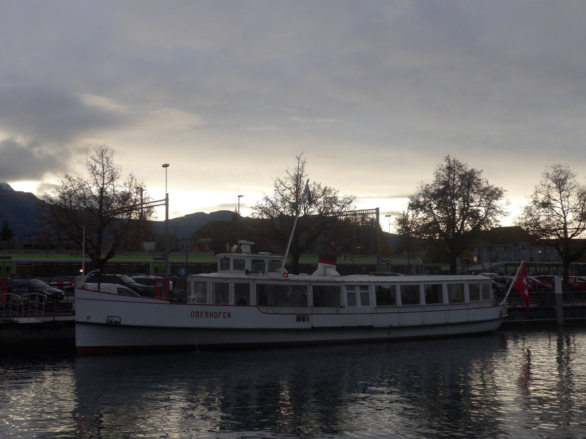 (210'753) - Motorschiff Oberhofen am 3. November 2019 an der Schifflndte Thun