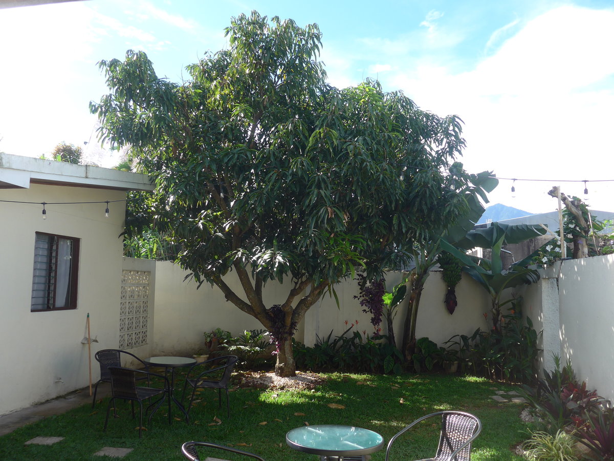 (211'075) - Innenhof im Hotel Mango Boulevard am 13. November 2019 in San Jos