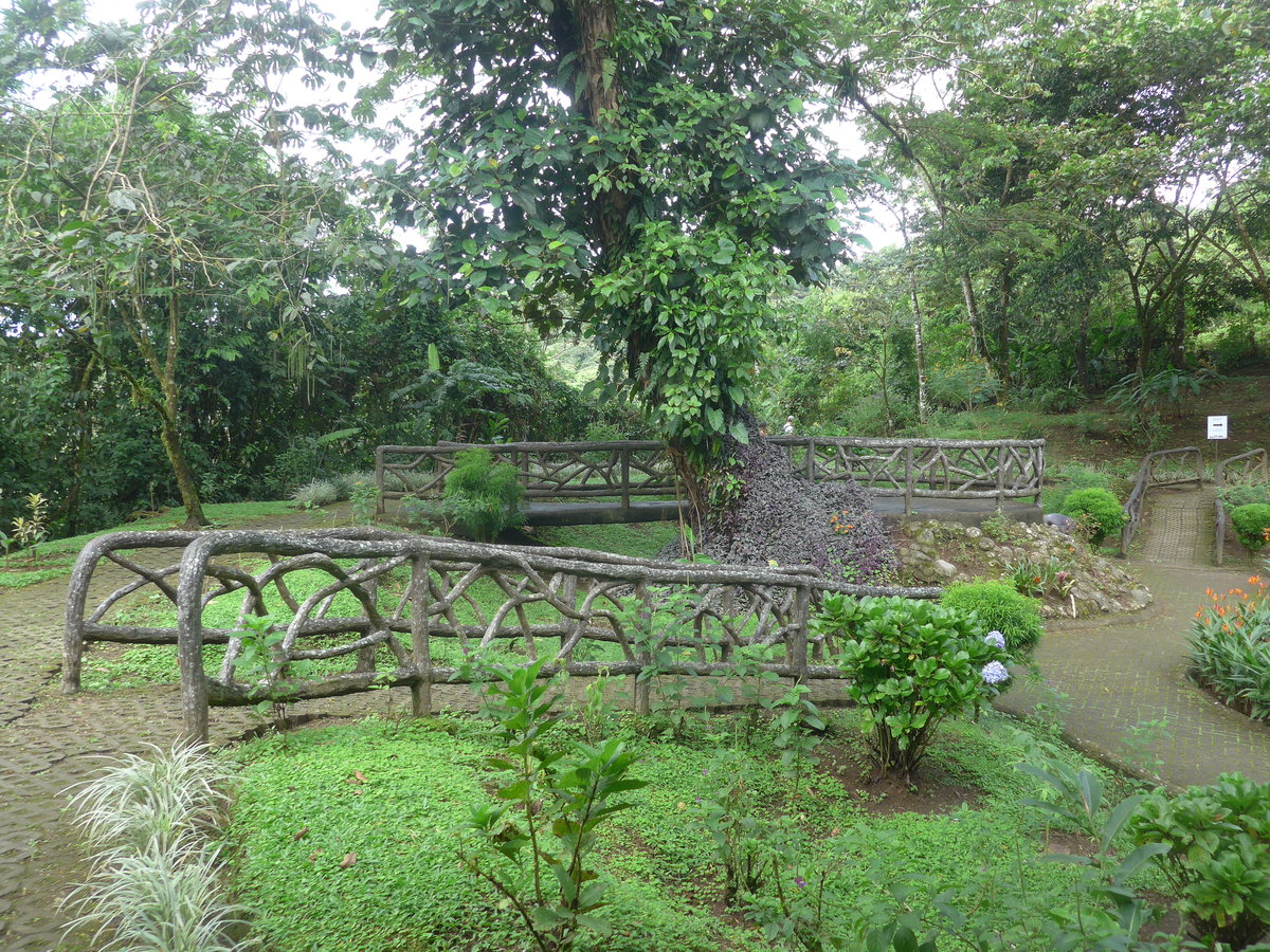 (211'166) - Parkanlage mit Brcke im Mistico am 14. November 2019 bei La Fortuna