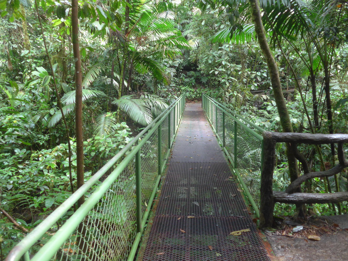 (211'173) - Puente El Sano im Mistico am 14. November 2019 bei La Fortuna