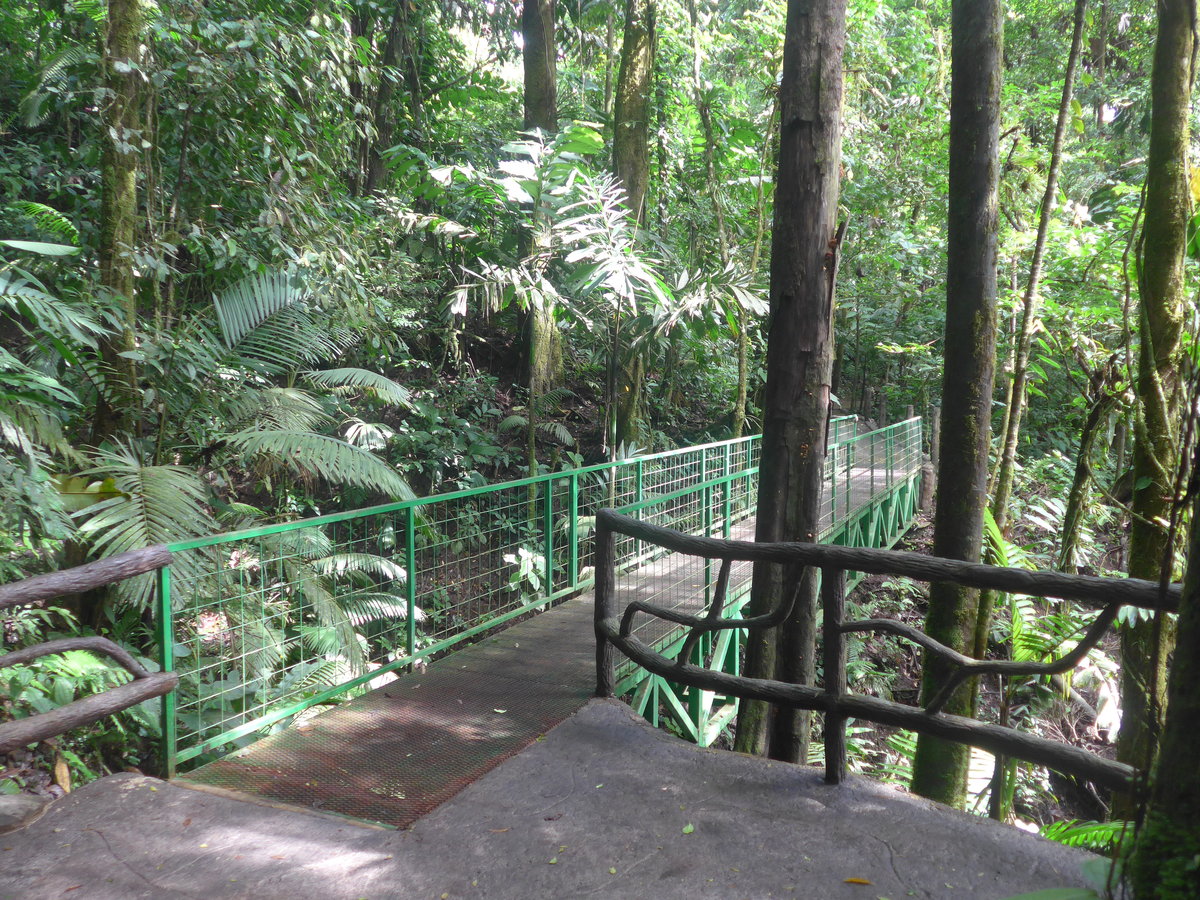 (211'175) - Puente El Sano im Mistico am 14. November 2019 bei La Fortuna