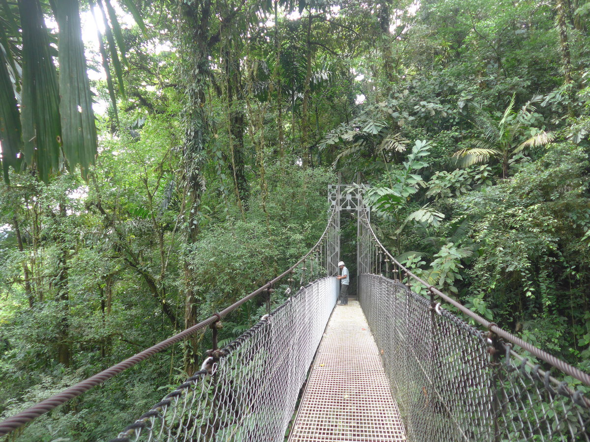 (211'182) - Puente El Piln im Mistico am 14. November bei La Fortuna