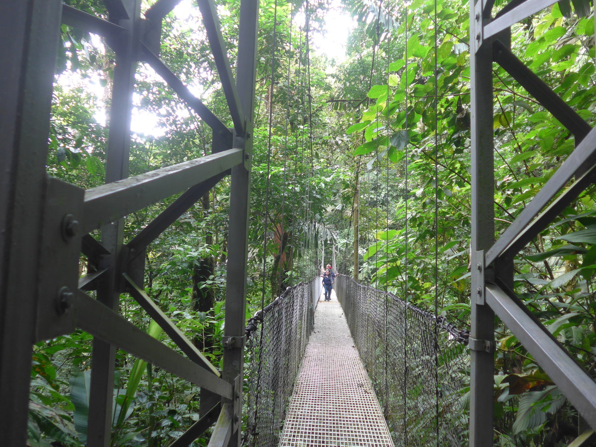 (211'184) - Puente El Piln im Mistico am 14. November 2019 bei La Fortuna