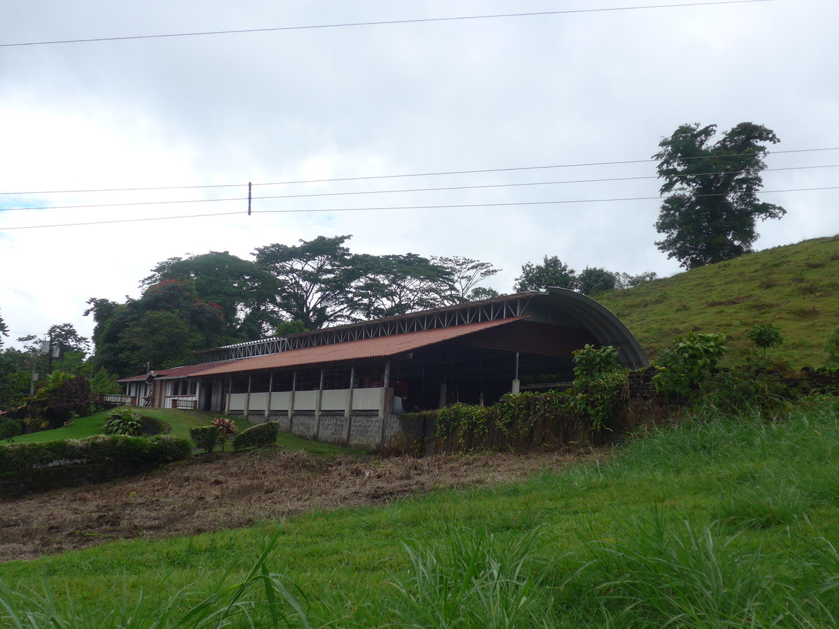 (211'445) - Bahnhof der TTA-Touristenbahn am 16. November 2019 in Nuevo Arenal, Los Hroes
