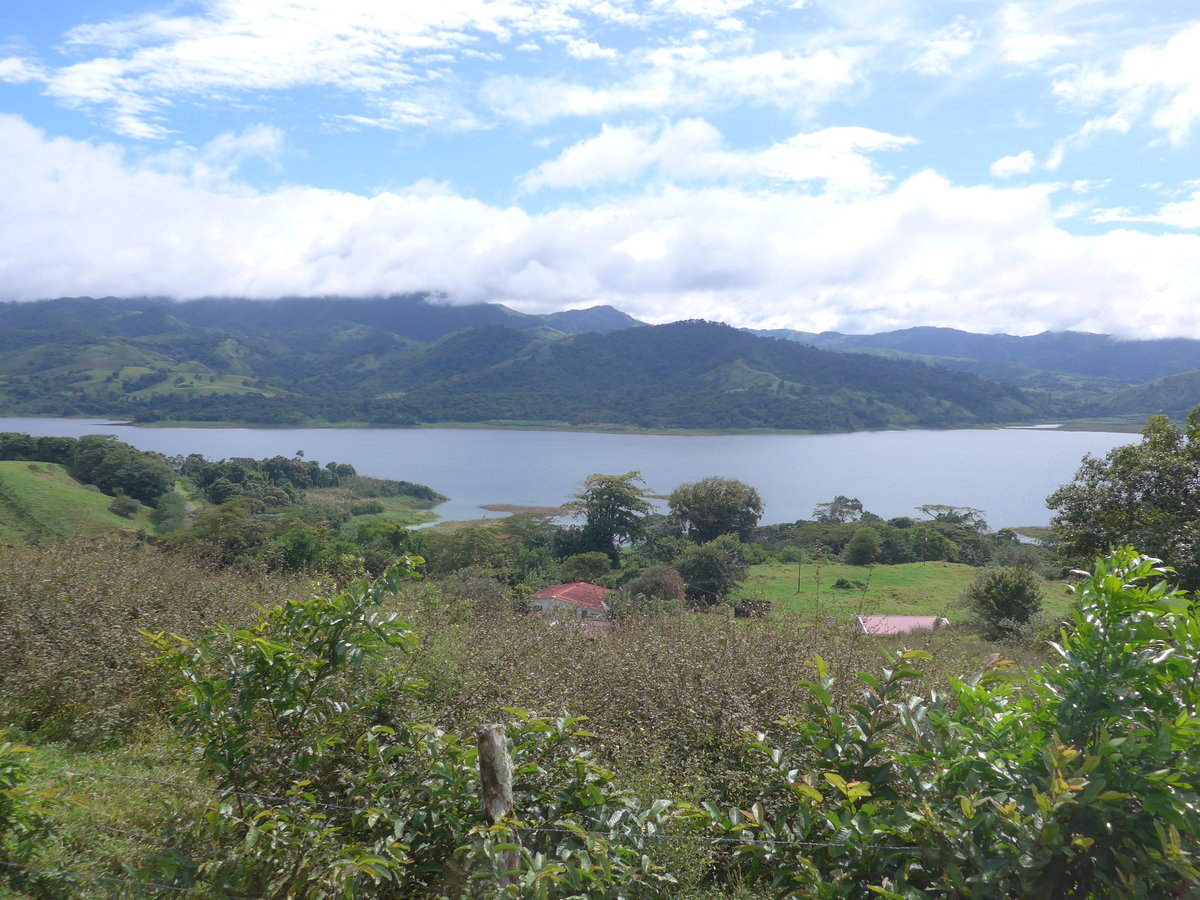 (211'458) - Ausblick auf den Arenalsee am 16. November 2019 in Nuevo Arenal, Los Hroes