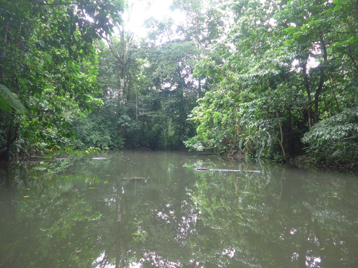 (211'531) - See im Danaus am 17. November 2019 bei La Fortuna