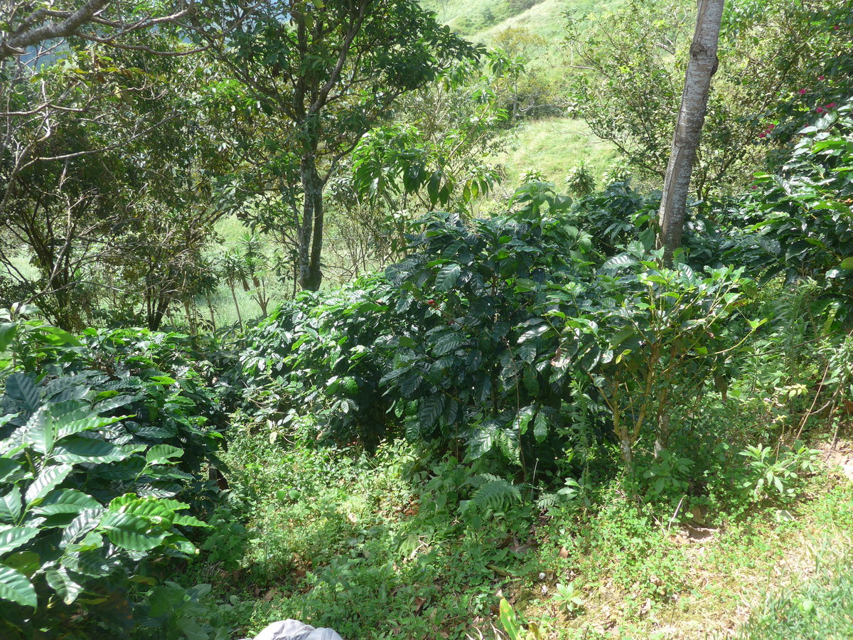 (211'567) - Natur am 18. November 2019 in Rio Jsus