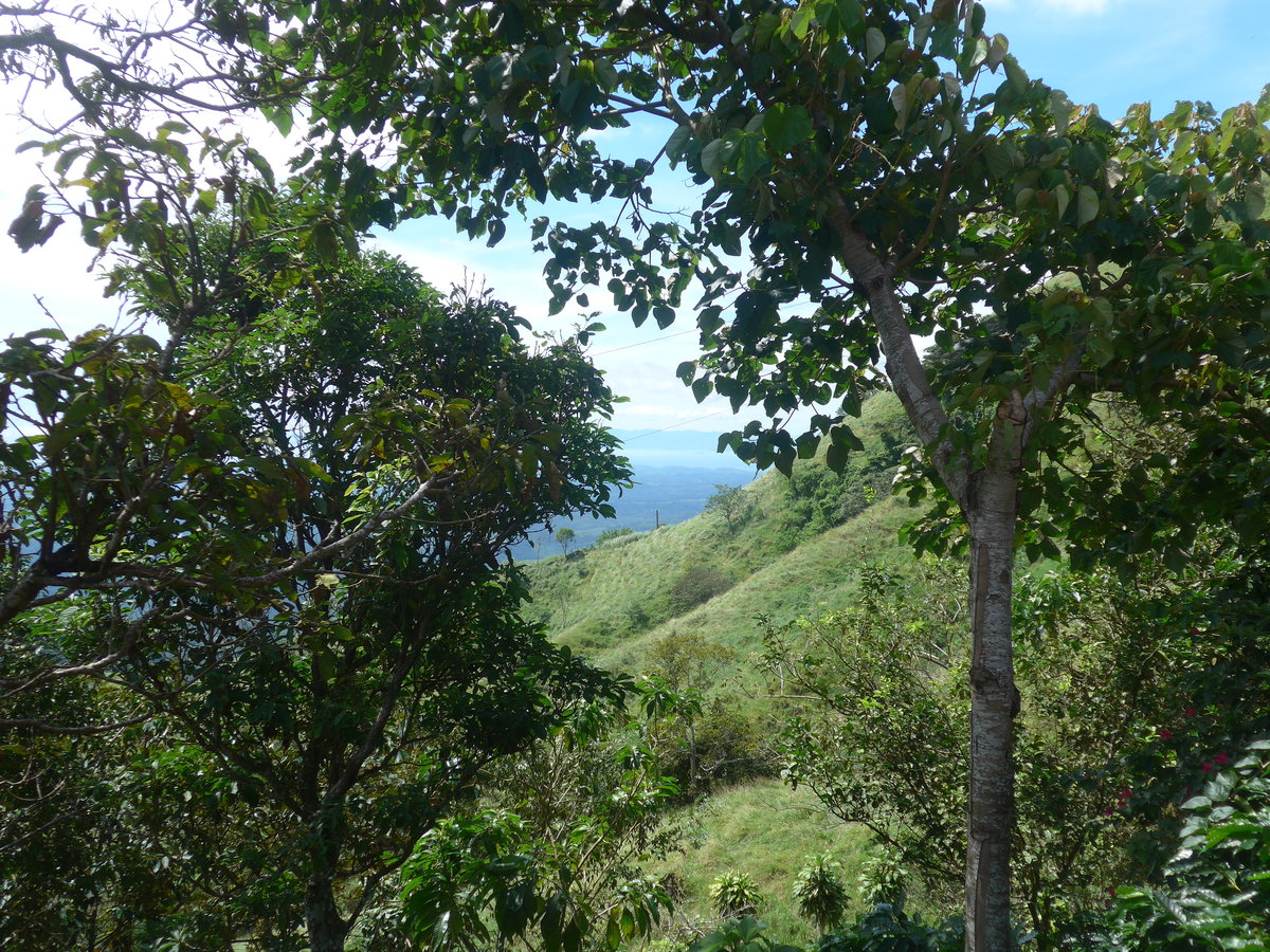 (211'568) - Natur am 18. November 2019 in Rio Jsus