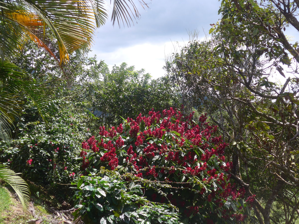 (211'569) - Natur am 18. November 2019 in Rio Jsus
