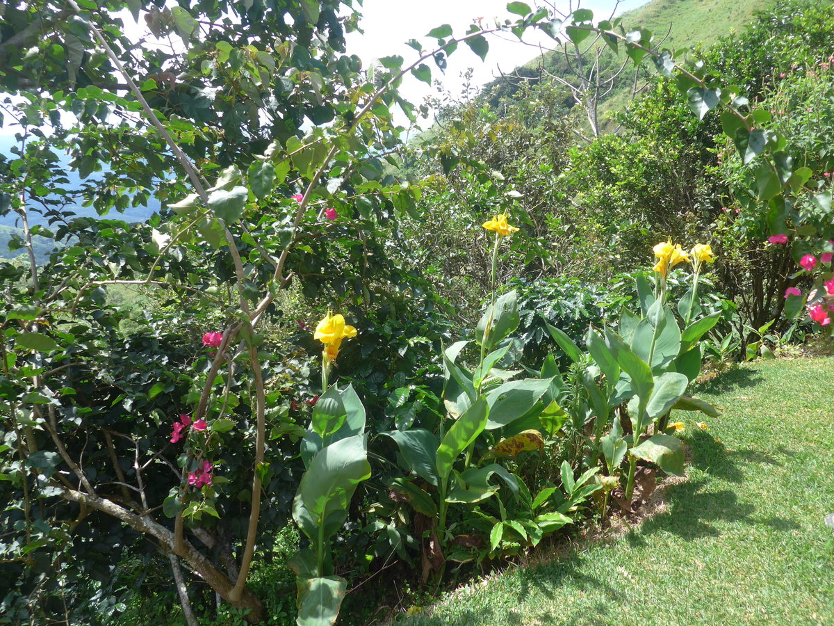 (211'570) - Natur am 18. November 2019 in Rio Jsus
