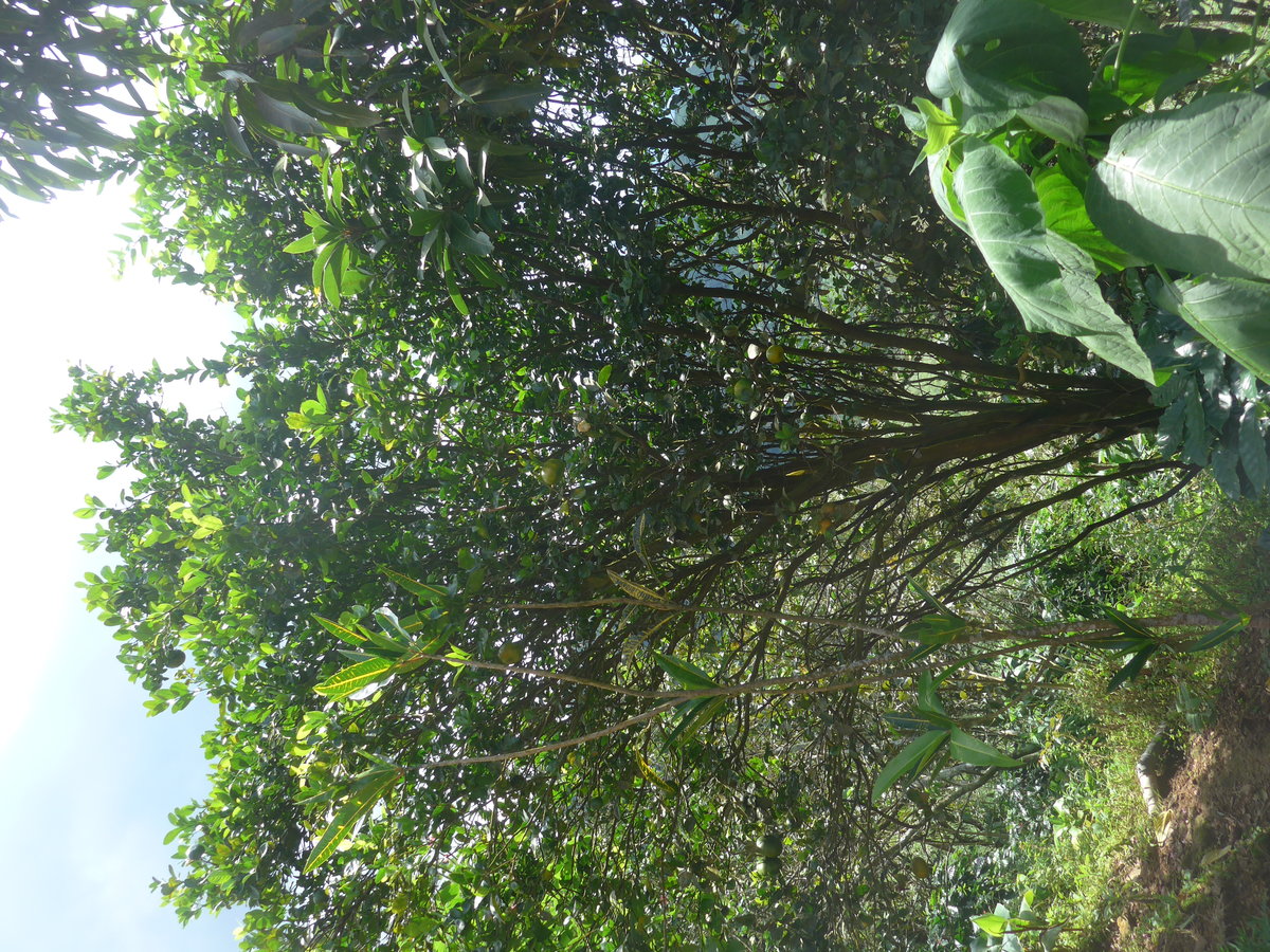 (211'572) - Natur am 18. November 2019 in Rio Jsus